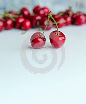 Two berries of red cherries on one petiole on a white background