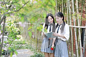 Two best friends bestie Asian Chinese Happy young cute adorable lovely student youth read book in park garden school summer