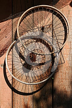 Two bicycle wheels