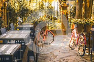 two bicycles in the courtyard of the coffee shop