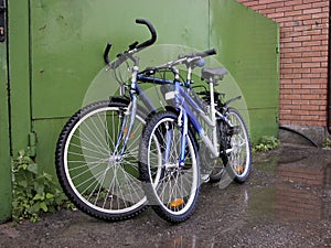 Two bicycles at green gate