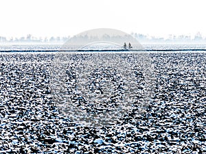 Two bicyclists in polder in winter, Holland