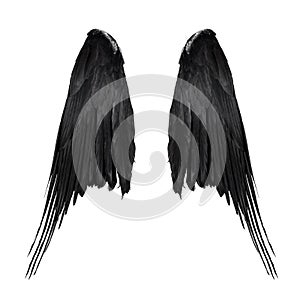 Two big black raven wings with big feathers isolated on white background