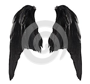Two big black raven wings with big feathers isolated on white background
