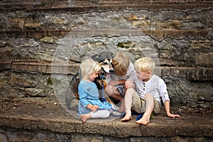 Two Big Brothers and their Good Dog are Consoling their Crying Little Sister