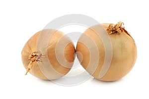 Two big brown onions