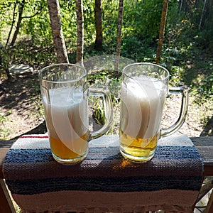 Two big high glasses with fresh beer on the nature background closeup view