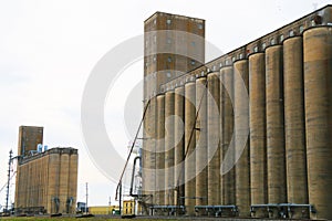 Two big working agricultural farm community feed grain and corn silo buildings in a small town in rural heartland america perfect