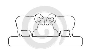 Two bighorn rams on chump fighting vector line contour illustration isolated on white background. Angry and stubborn animal battle