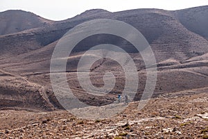 Two bikers on a mountain bike trail from city Arad to the Dead Sea, Judaean Desert, Israel.