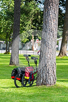 Two Bikes against Tree