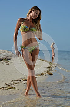 Two bikini models posing at tropical beach