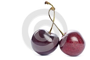 Two Bing Cherries