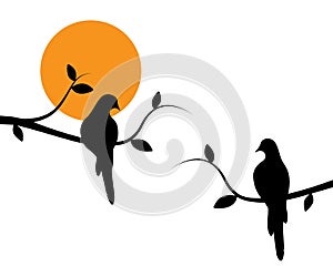 Birds couple silhouette on branch on sunset, Vector. Wall decals, couple of birds in love, art decoration, wall decor