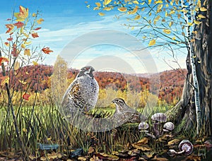 Two birds in the autumn woods