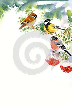 Two birds and bullfinch on the snowy branch photo