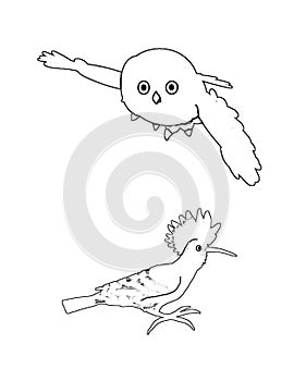 Two birds, colouring book page uncolored and colored