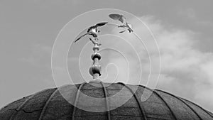 Two birds fly over a mosque in Istanbul - TURKEY