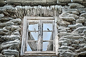 Two Birds in a Glassless Window - Port of Centuri - Corsica, France