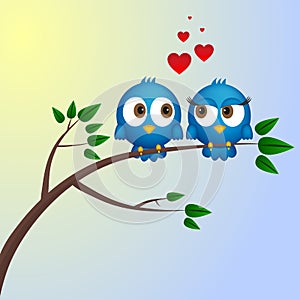 Two birds in love