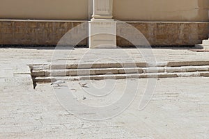 Two birds in Serapeum and Pompey`s Pillar and monuments area