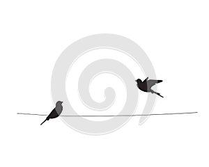 Two birds silhouettes on wire, vector. Flying bird silhouette, illustration. Wall decals, wall art work. Scandinavian minimalist