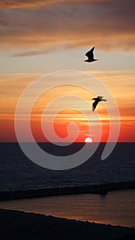 Two birds and a sunrise