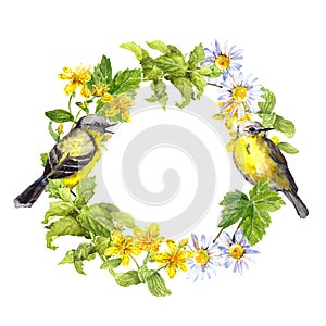 Two birds, wild herbs, meadow flowers. Floral wreath. Watercolor ring