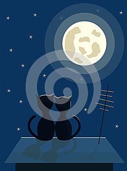 Two black cats sit on the roof. Night city moon and stars in the sky. Vector illustration