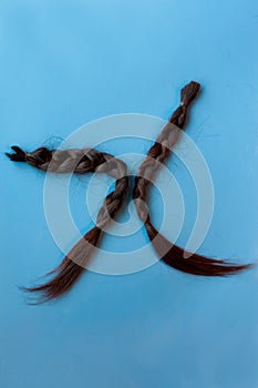 Two black chopped-off braids of human hair