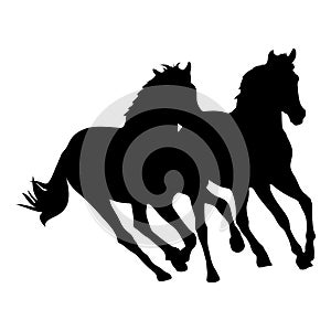 Two Black horse silhouette running