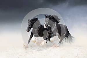 Two black horses of the Shail rock race along the sand against the sky.