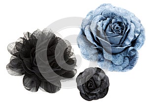 Two black and one blue flower rose from lace