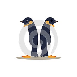 Two black and orange penguins standing back to back in flat minimal style vector illustration