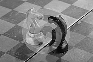 Two black and white chess knights opposite each other. Concept of conflict