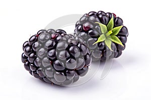 Two Blackberries - isolated
