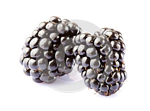 Two blackberries isolated on white background
