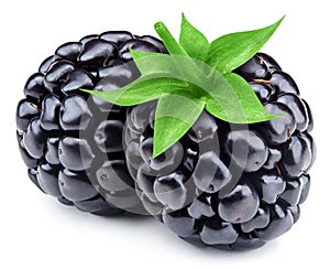 Two blackbery with clipping path