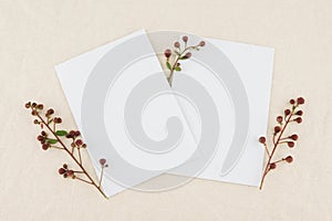 Two blank white cards