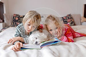 Two blond cute children, boy and girl, siblings and maltese dog, reading book together, joy and happiness