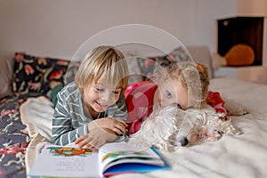 Two blond cute children, boy and girl, siblings and maltese dog, reading book together, joy and happiness