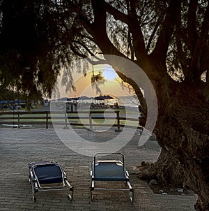 Two blue beach chairs under a tree at sunset