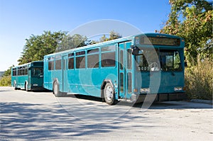 Two Blue Buses