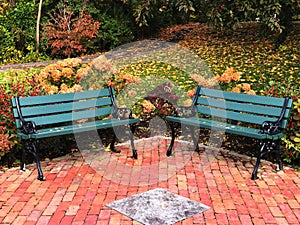 Two blue chairs on the public park with fall foliage