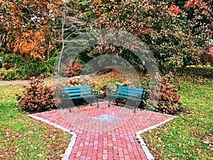 Two blue chairs on the public park with fall foliage