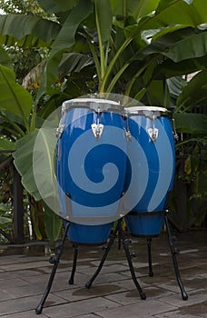 Two blue congas on a background of palm trees