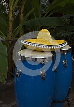 Two blue congas drum and yellow sombrero on a background of palm trees