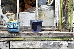 Two Blue Flower Pots