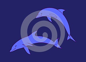 Two blue friendly dolphins. Vector cartoon cute marine animal illustration, isolated on navy background