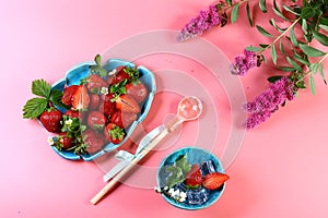 Two blue plates of fresh strawberries, ice, mint, pink flowers, decorative spoon isolated on pink background with copy space. View